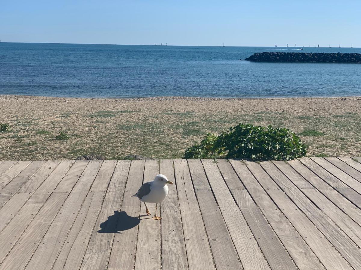 Studio Face A La Mer 4 Couchages - Gratuits Piscine Tennis Et Un Parking Prive Rare Et Tres Utile - Vue Magnifique Sur La Mer - Agreable En Toutes Saisons Ile Des Pecheurs - La Brigantine - Emplacement Et Vue Rares Au Cap D'Агд Екстер'єр фото